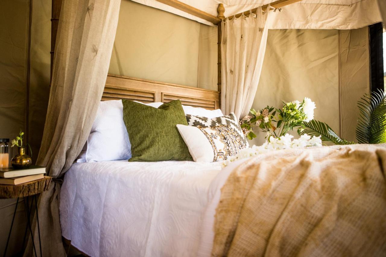 Orchard Valley Glamping Otorohanga Exteriör bild