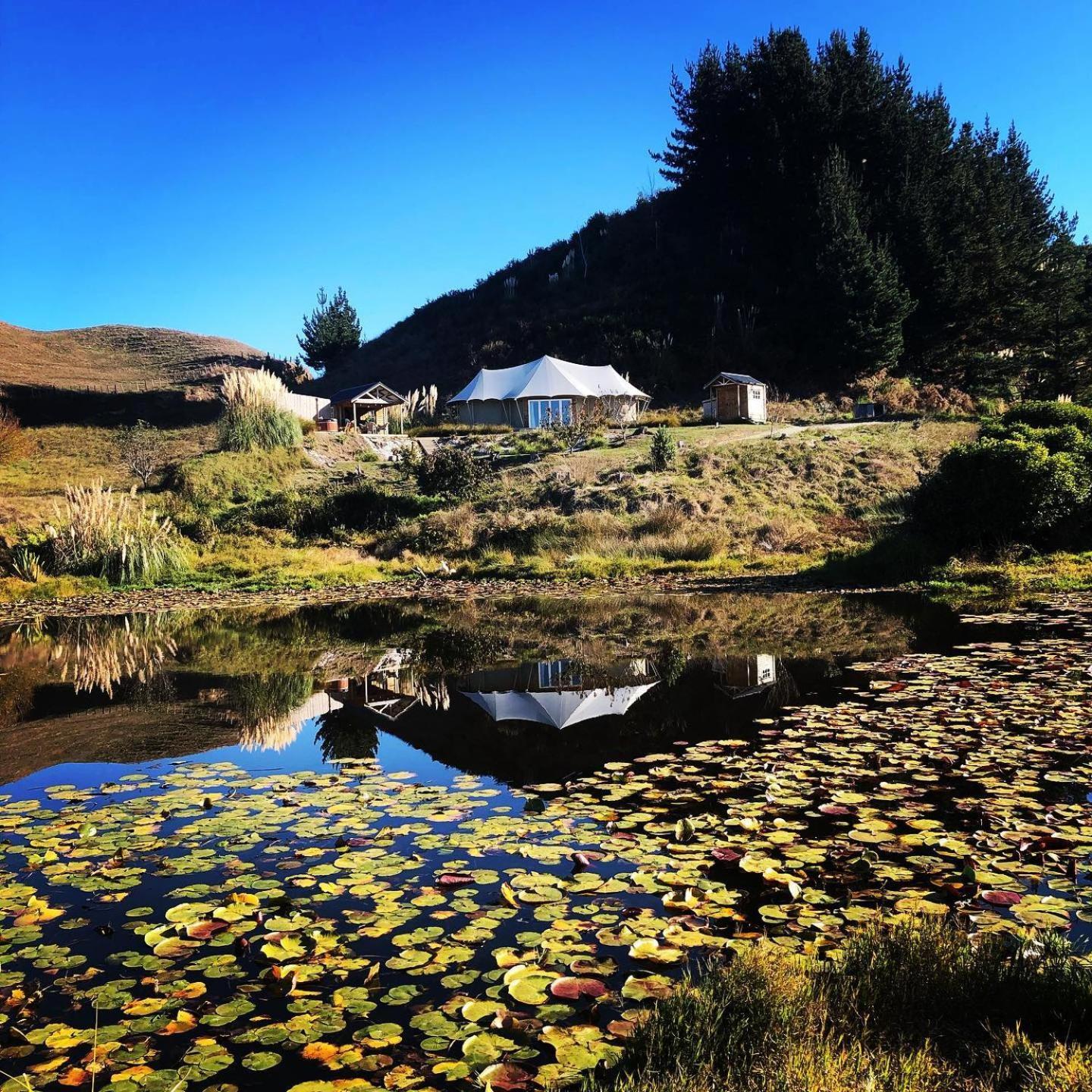 Orchard Valley Glamping Otorohanga Exteriör bild