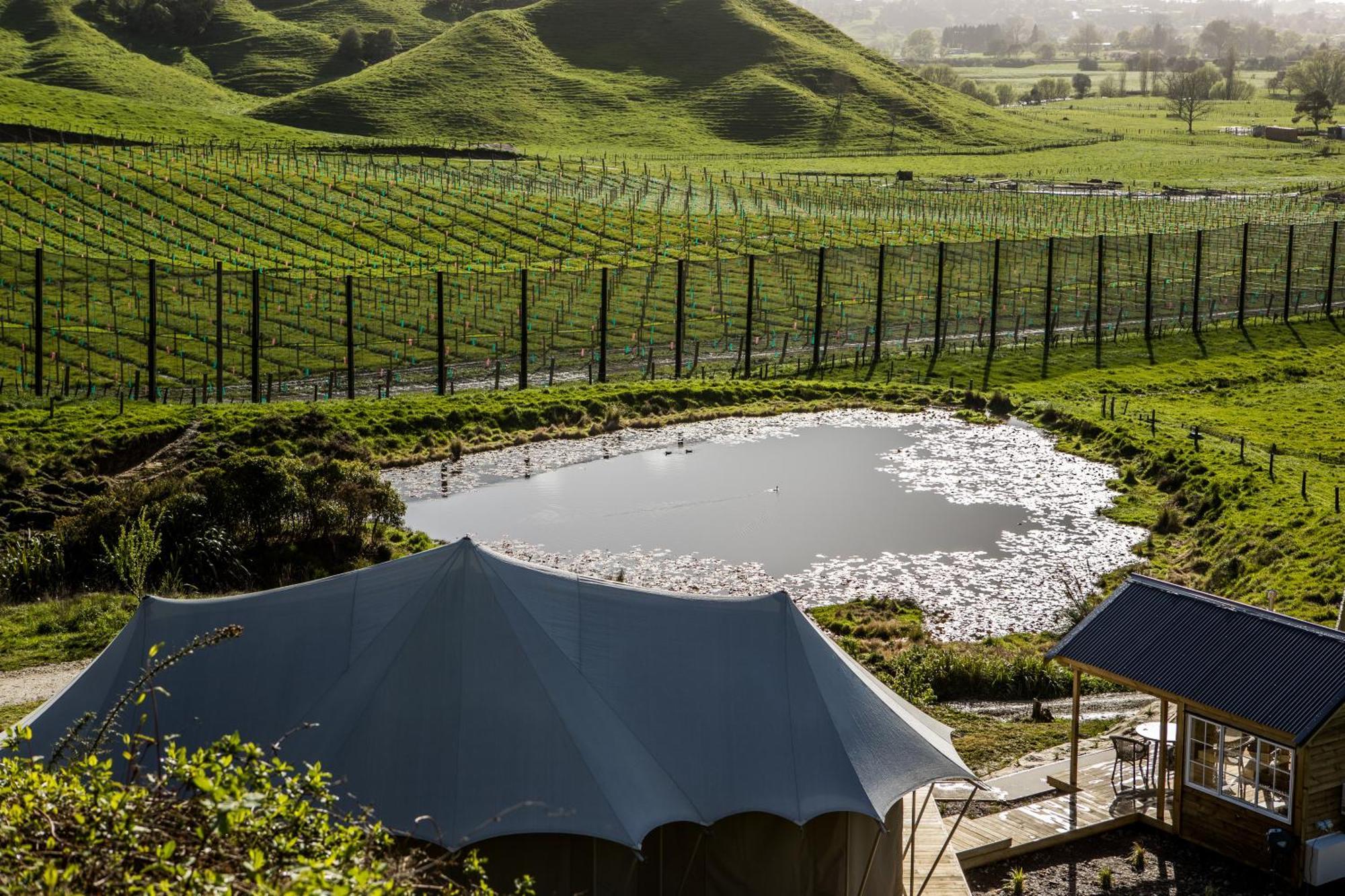 Orchard Valley Glamping Otorohanga Exteriör bild